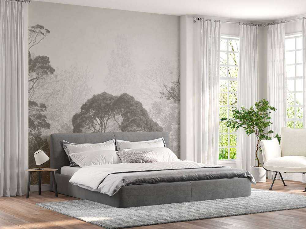 Paysage forestier