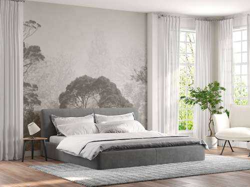 Paysage forestier