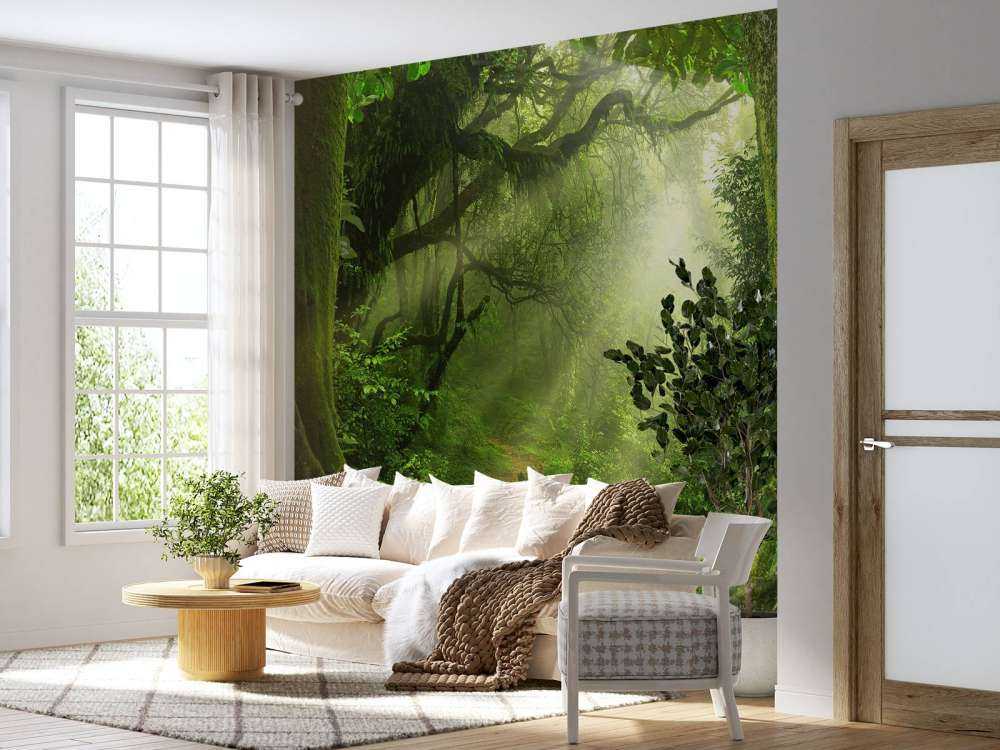 Jungle avec des rayons de soleil