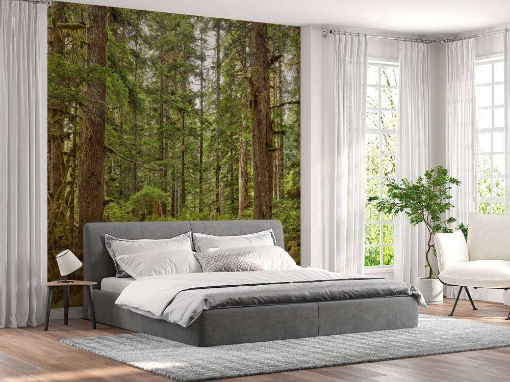 Forêt sauvage