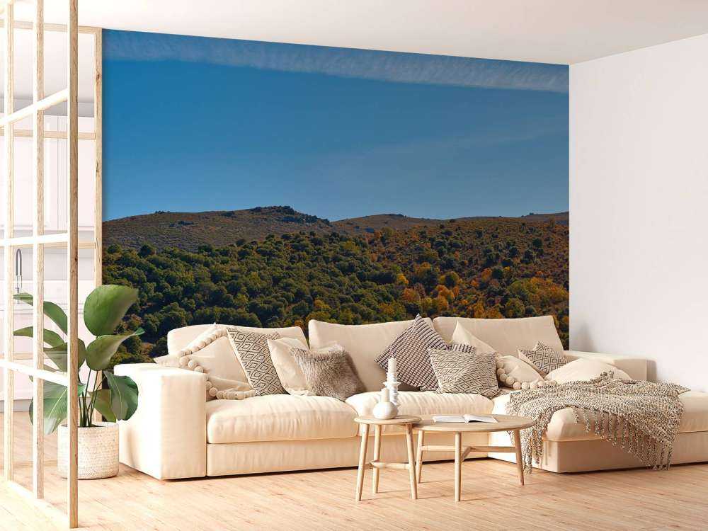 L'automne dans les montagnes