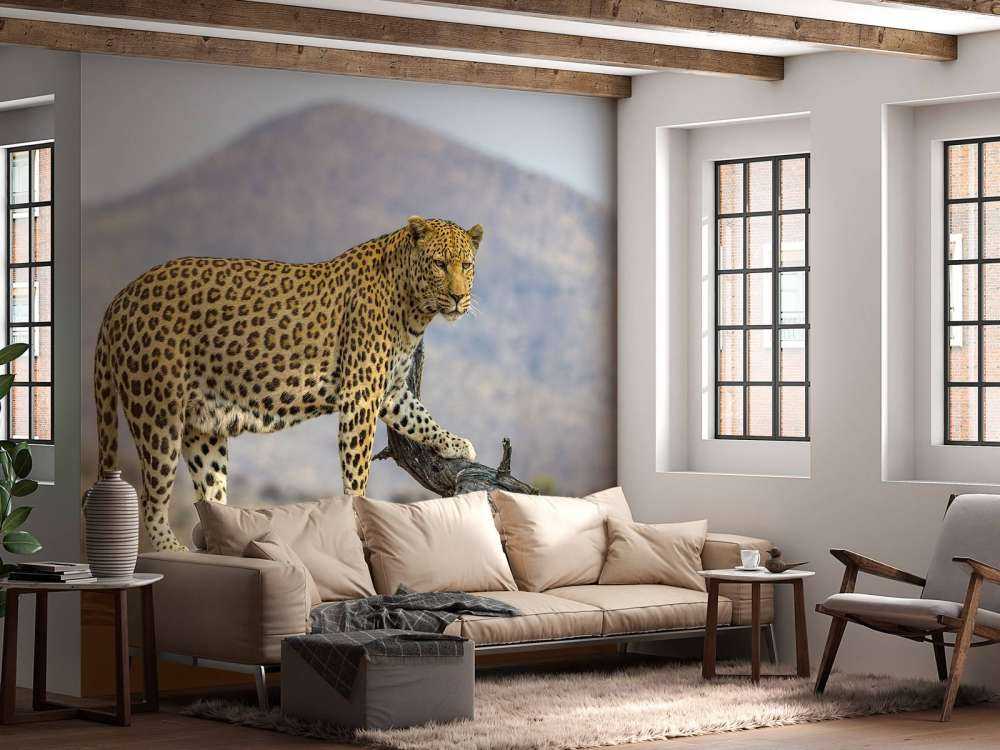 Léopard en Namibie