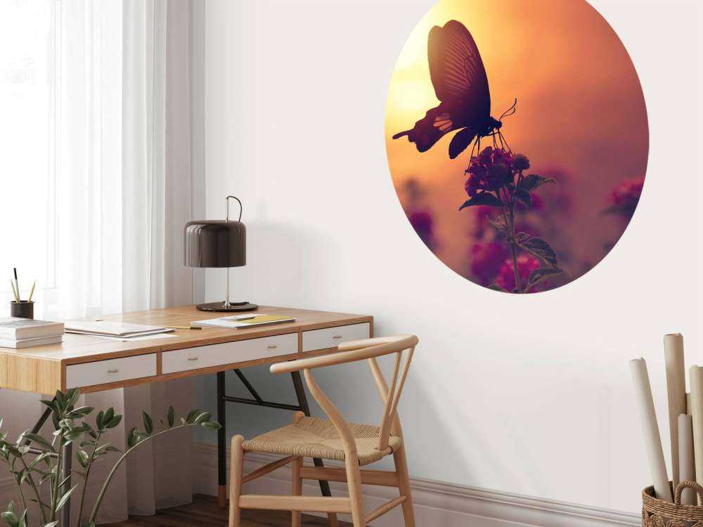 Papillon avec coucher de soleil