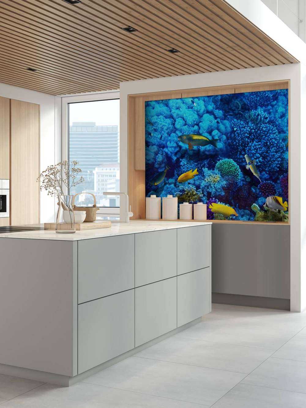 Poissons et coraux