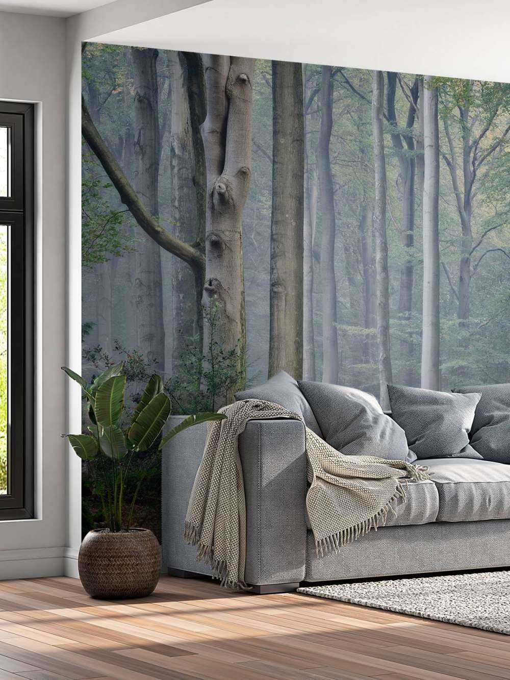 Chemin à travers la forêt