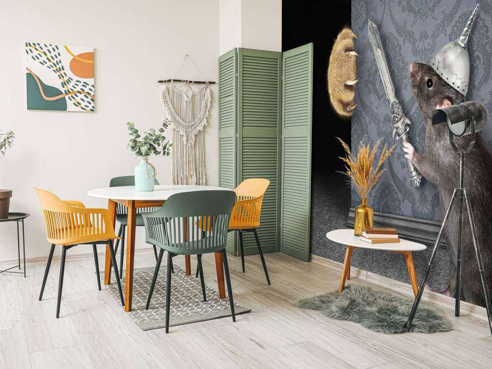 Chat et souris