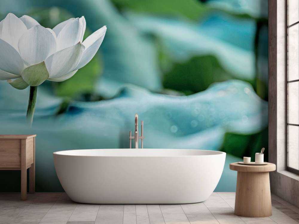 Fleur de lotus blanc
