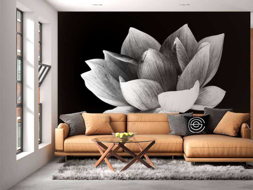 Lotus menotté