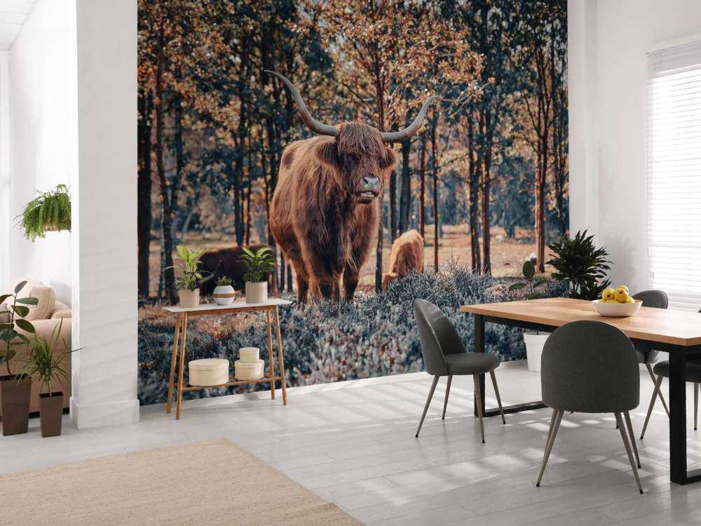 Highlander écossais à la lisière de la forêt