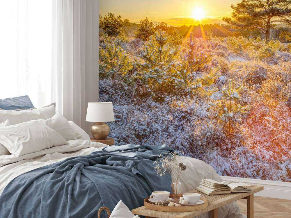 Coucher de soleil en hiver