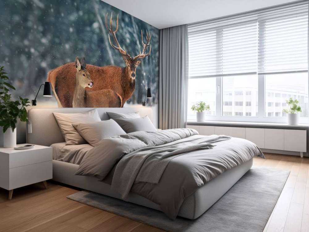 Cerf avec son faon