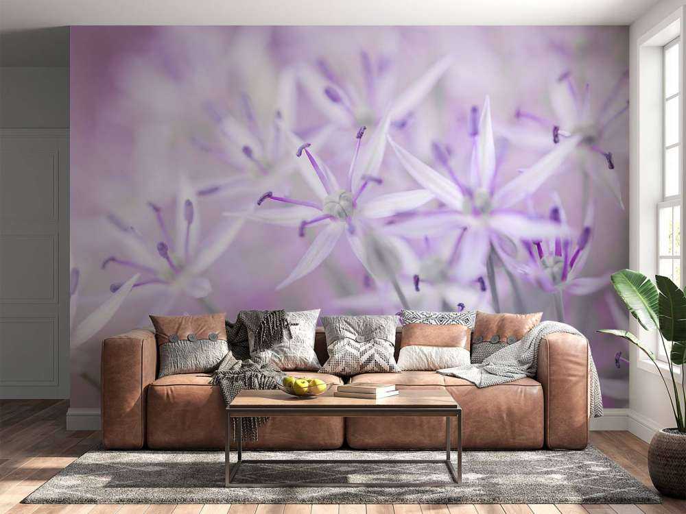 Fleurs d'allium en gros plan