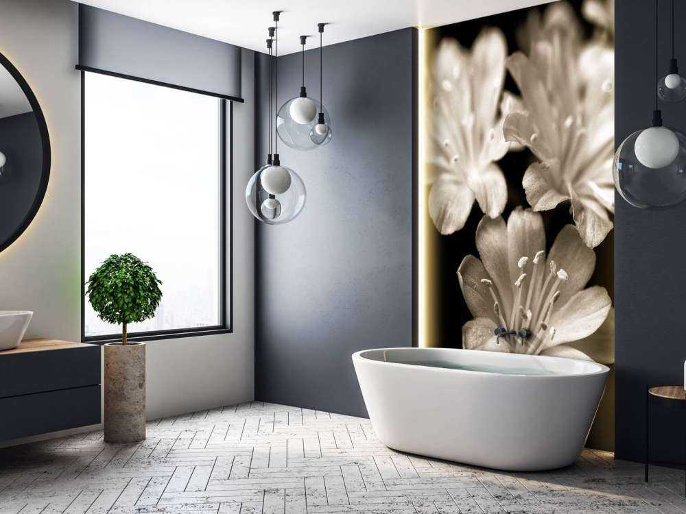 Fleur de lewisia en gros plan