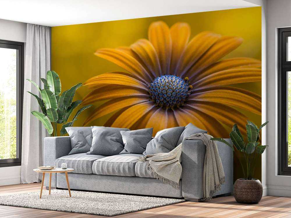 Sunshine Daisy