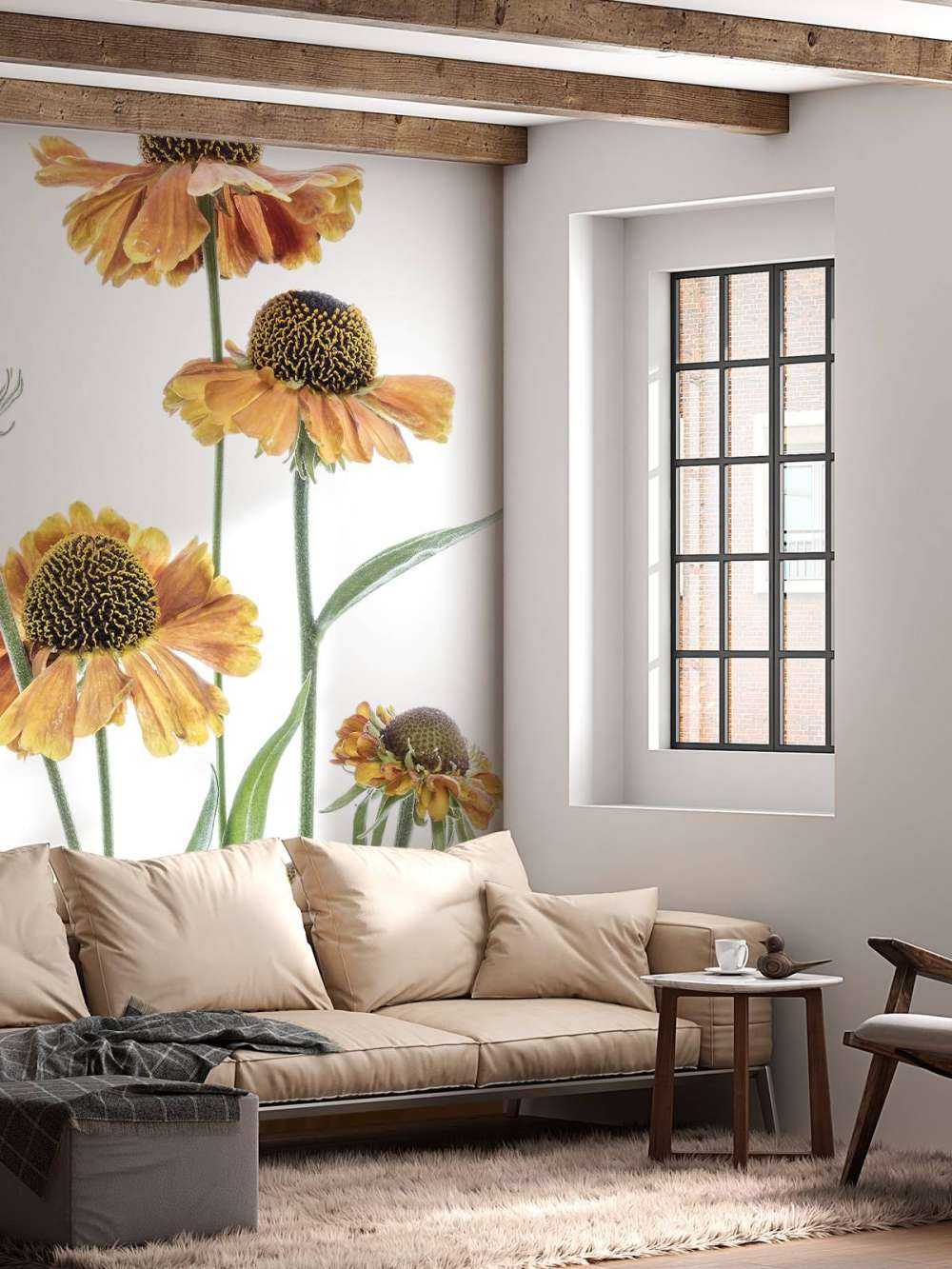 Helenium jaune