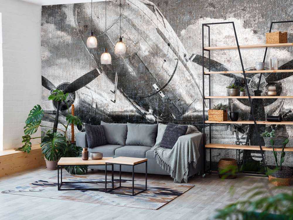 Avion de collection