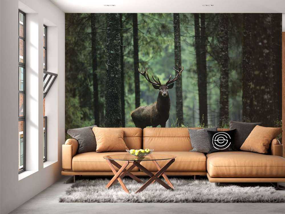 Grand cerf entre les arbres