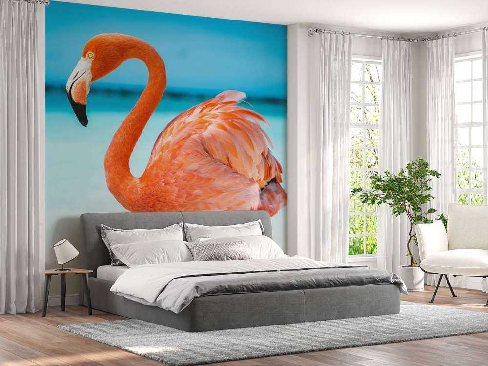 Flamant tropical