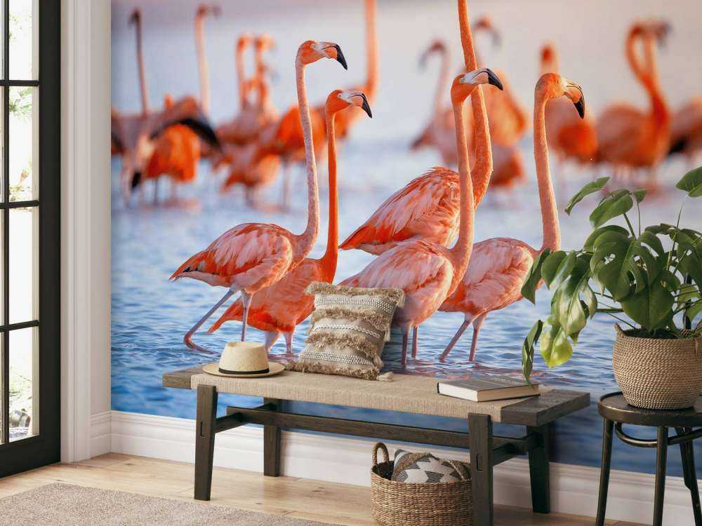 Flamants roses avec un regard fixe