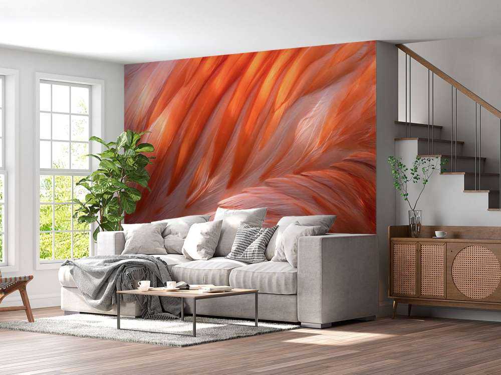 Plumes de flamant