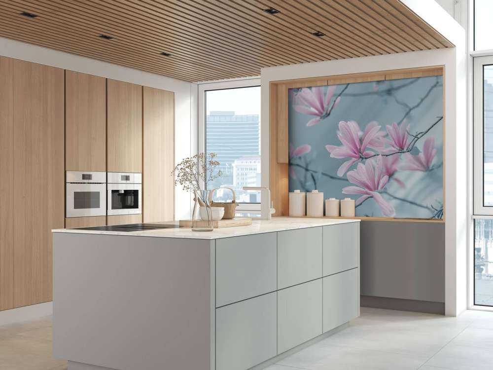 Fleurs de magnolia