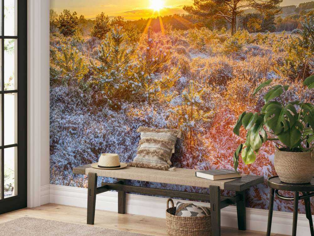 Coucher de soleil en hiver