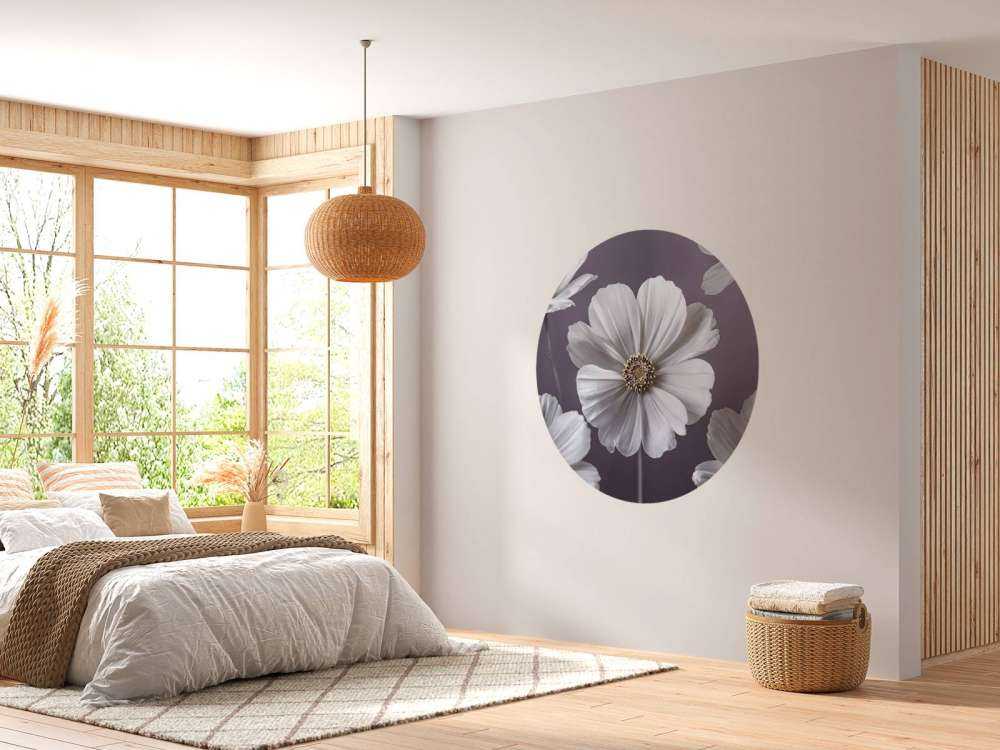 Fleurs de cosmos