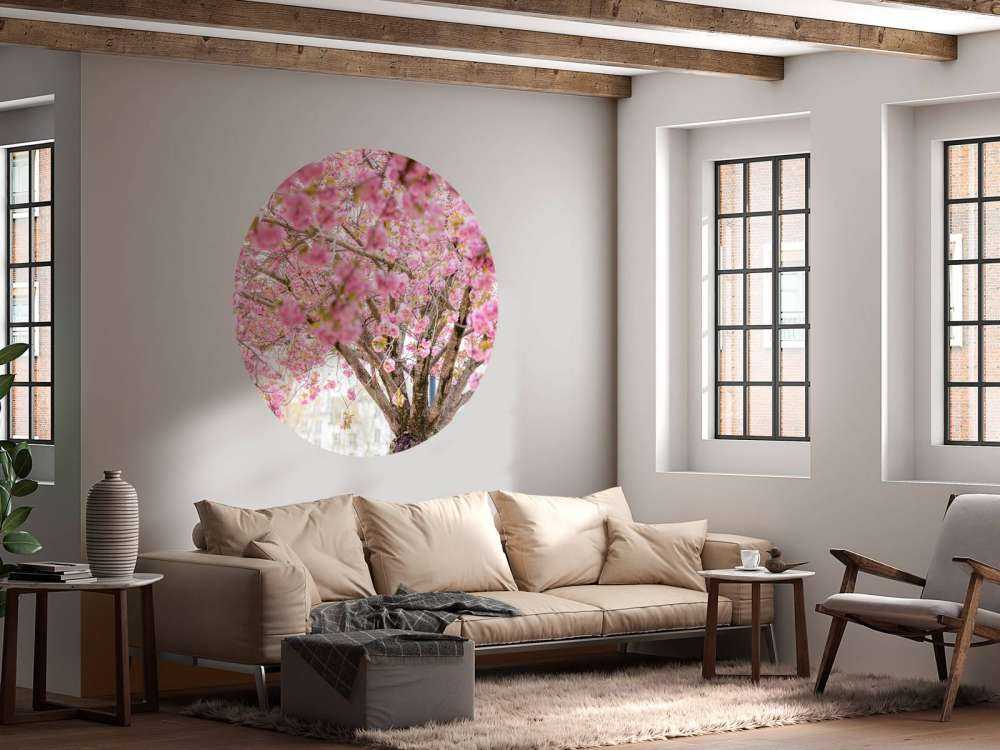 Arbre en fleurs