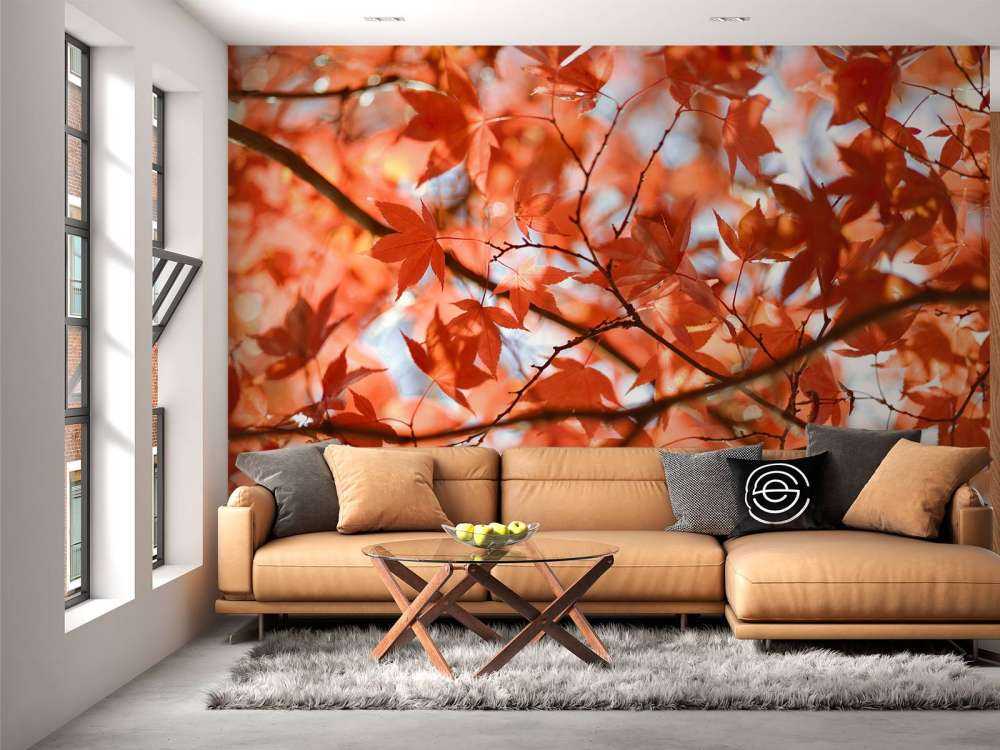 Feuilles d'automne colorées