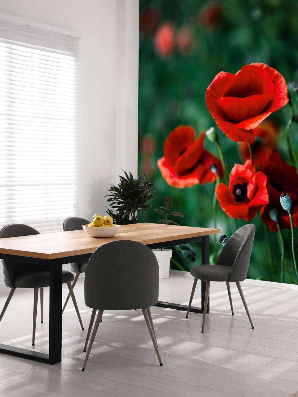 Coquelicots et herbe