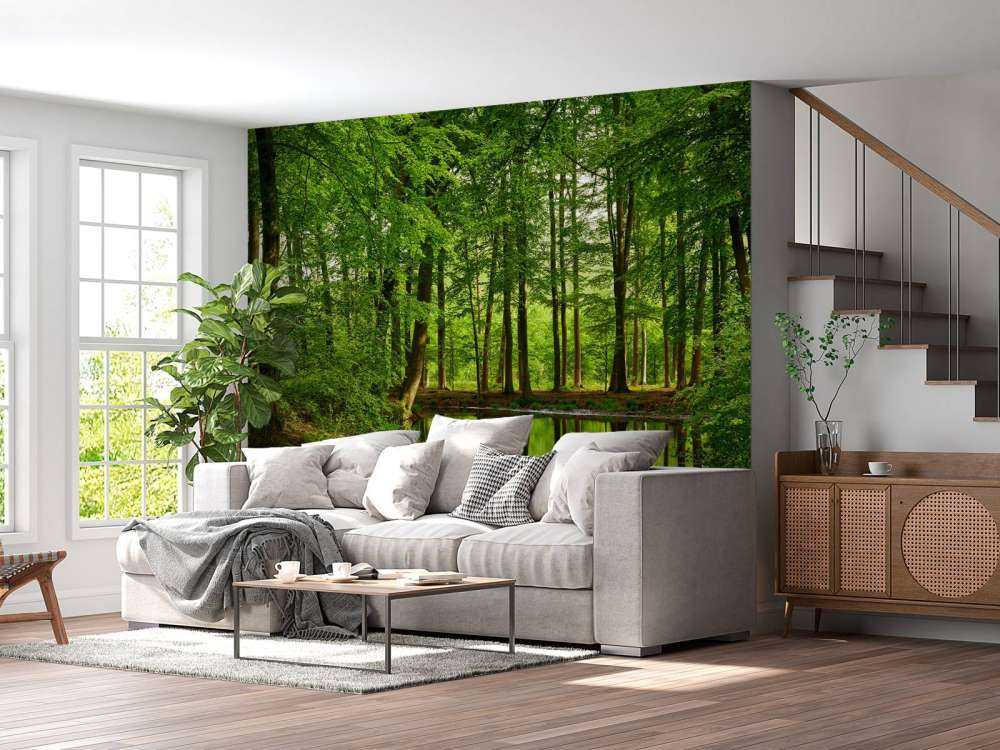 Réflexion d'arbres dans l'eau