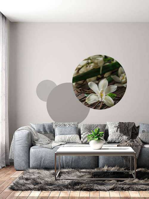 Gousses de vanille et fleurs