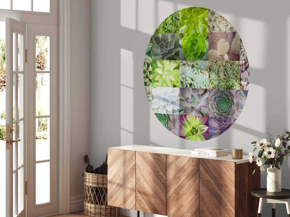 Collage de succulents