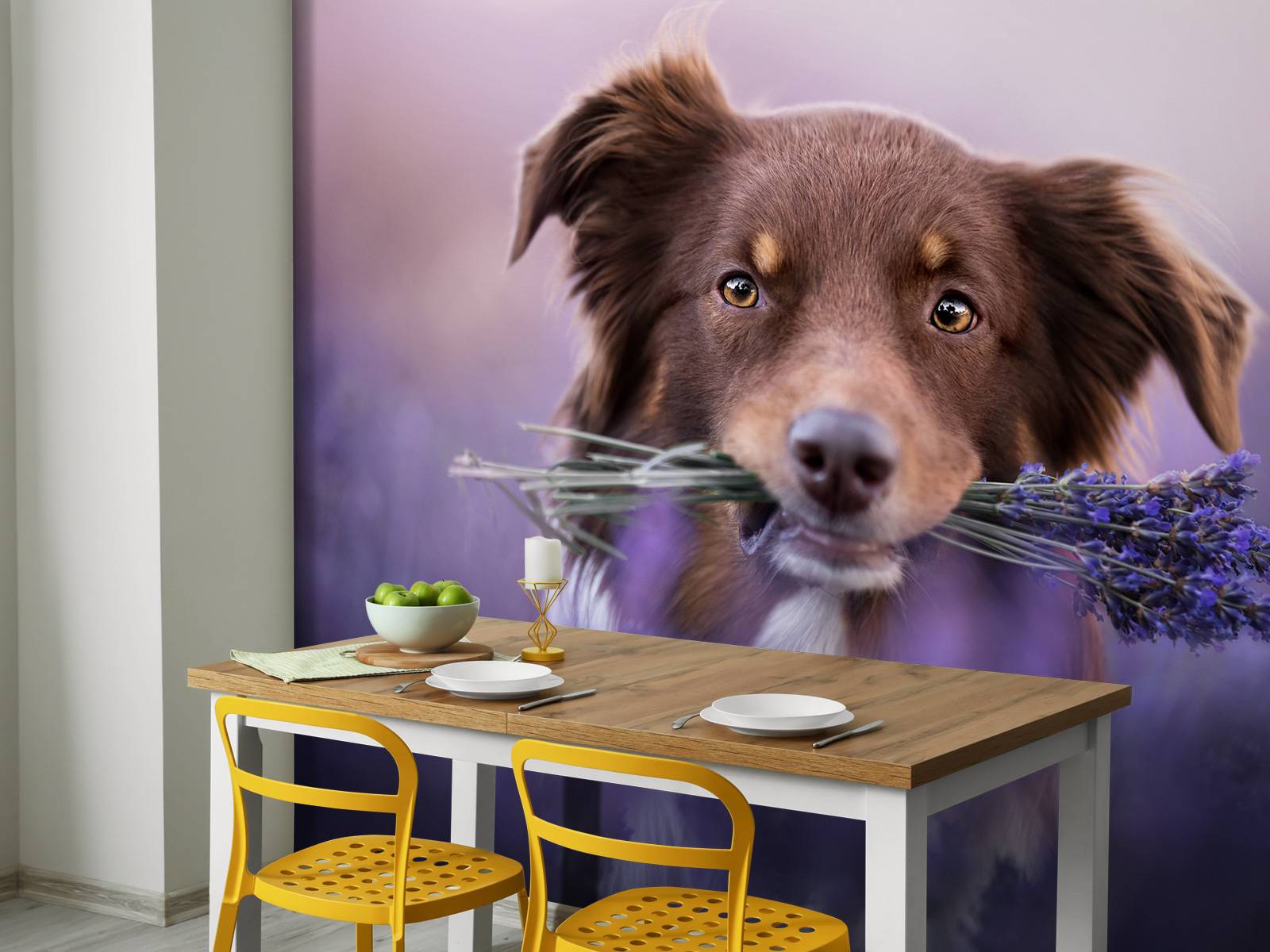 Chien à la lavande