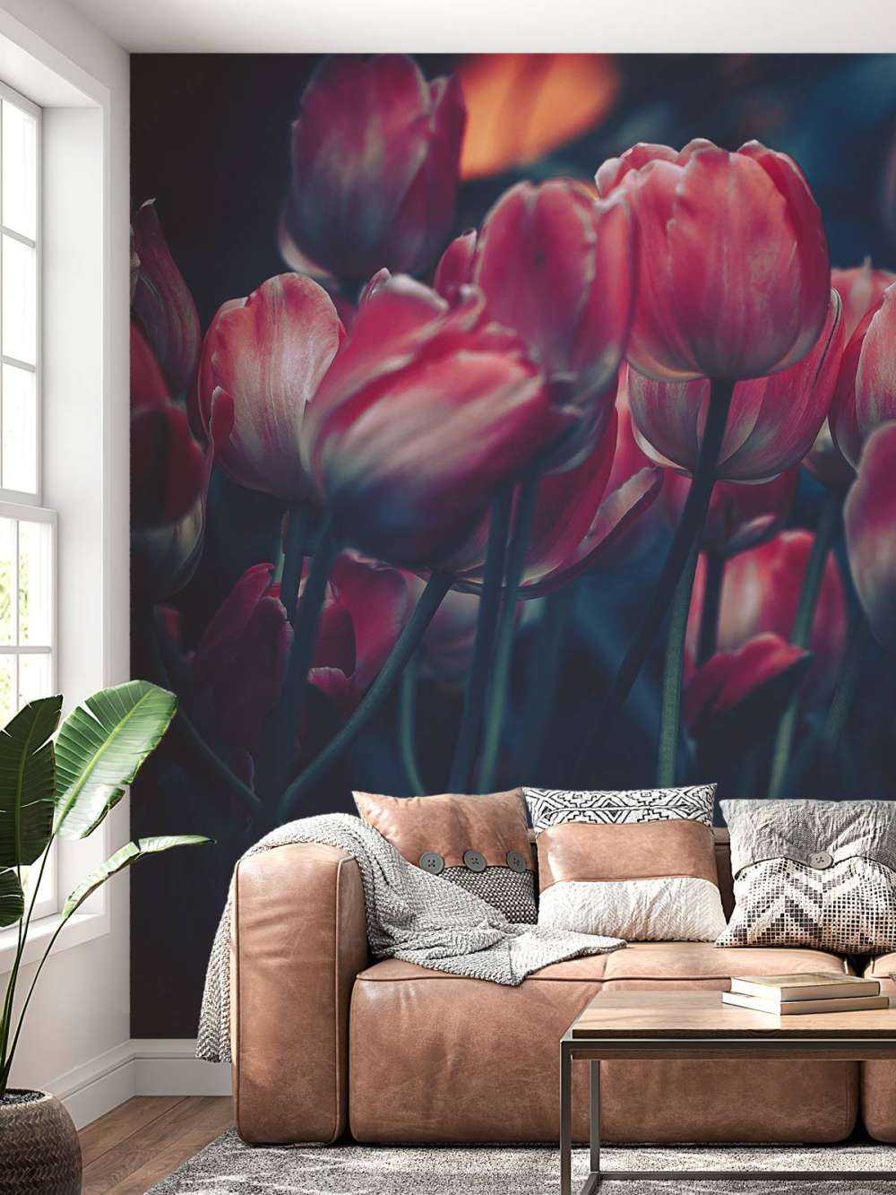 Les tulipes anciennes