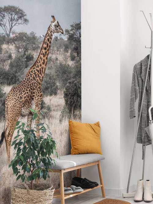 Portrait de girafe