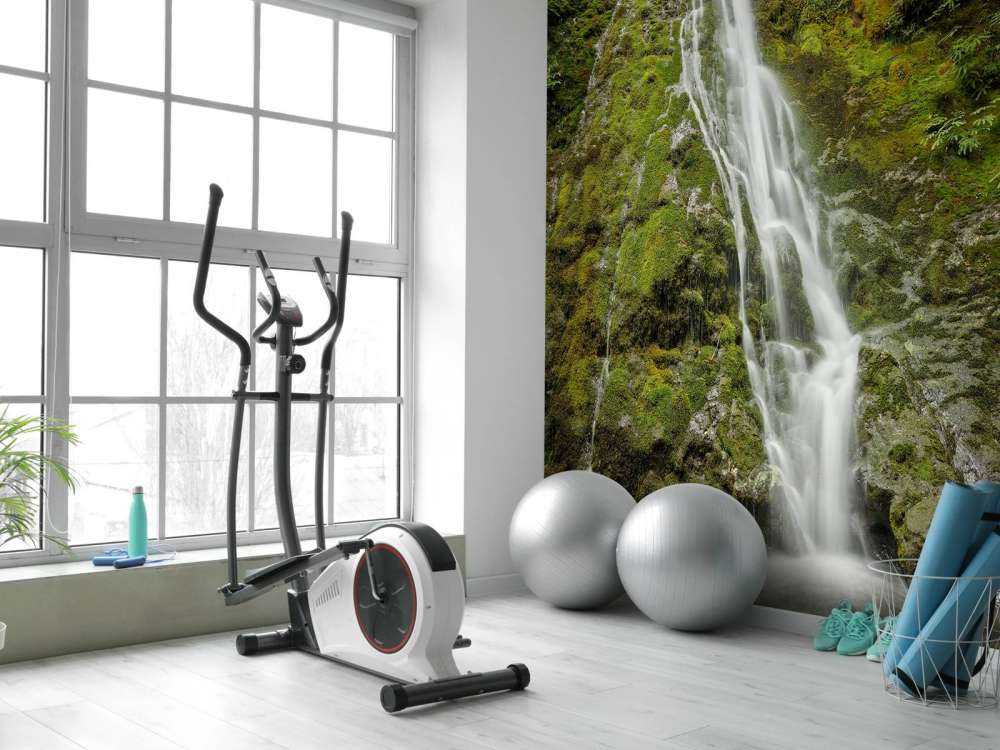 Chute d'eau avec une belle verdure