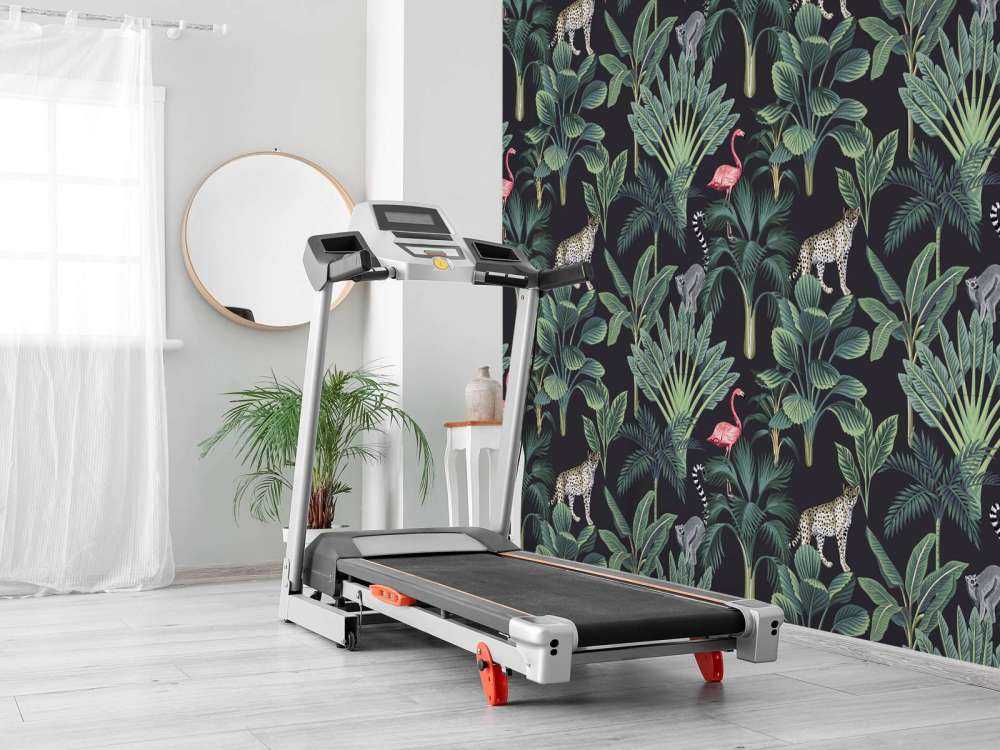 Animaux sauvages tropicaux
