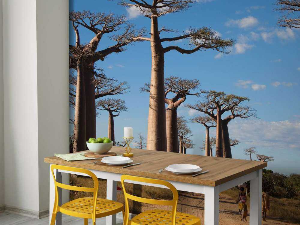 Baobabs