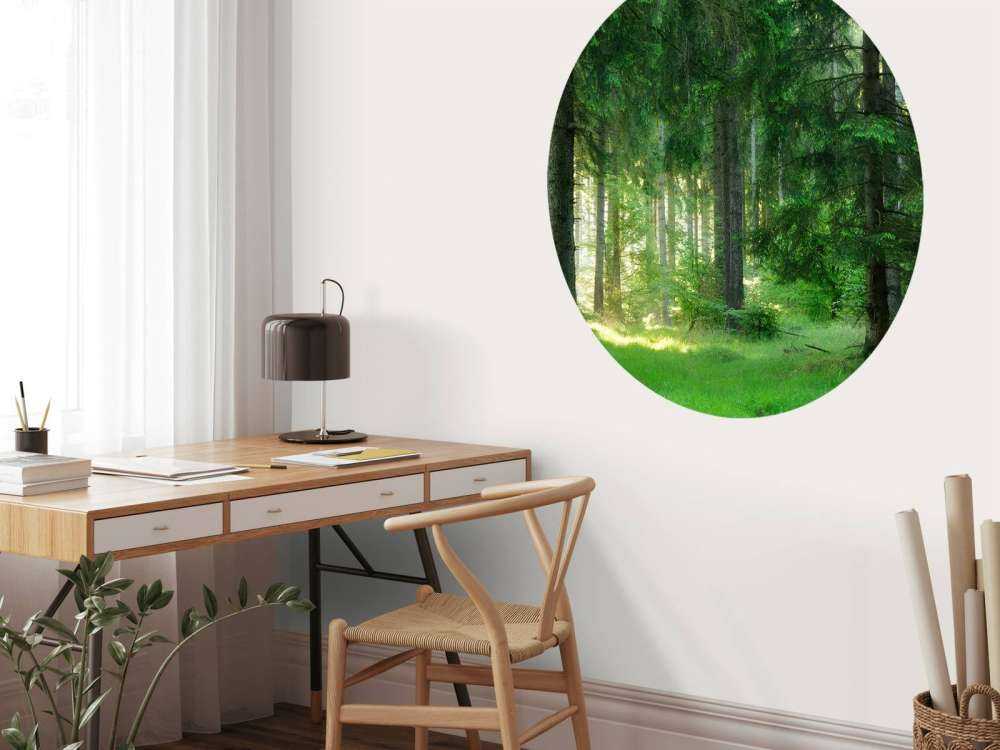 Forêt de conifères verts
