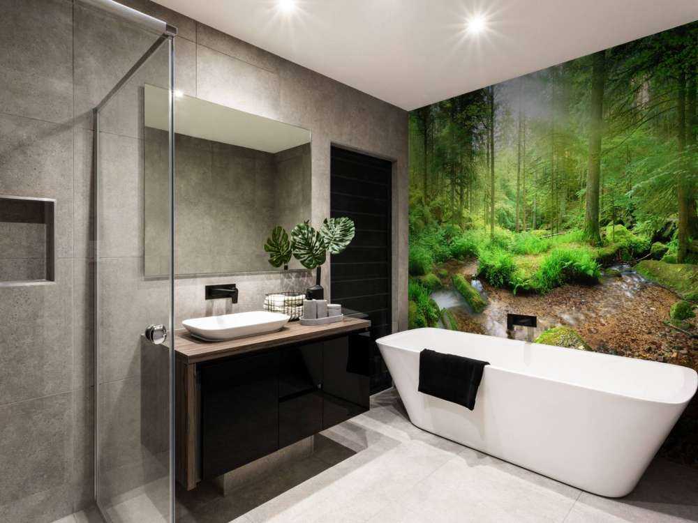 Paysage forestier enchanteur