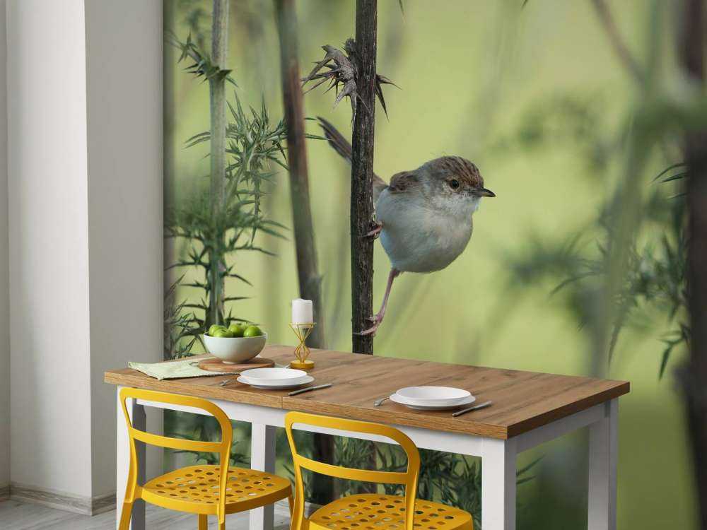 Oiseau sur une branche