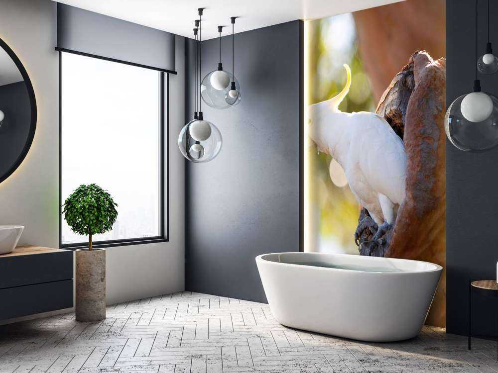 Cacatoès dans la cavité d'un arbre