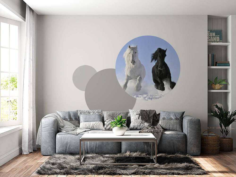 Cheval blanc et noir