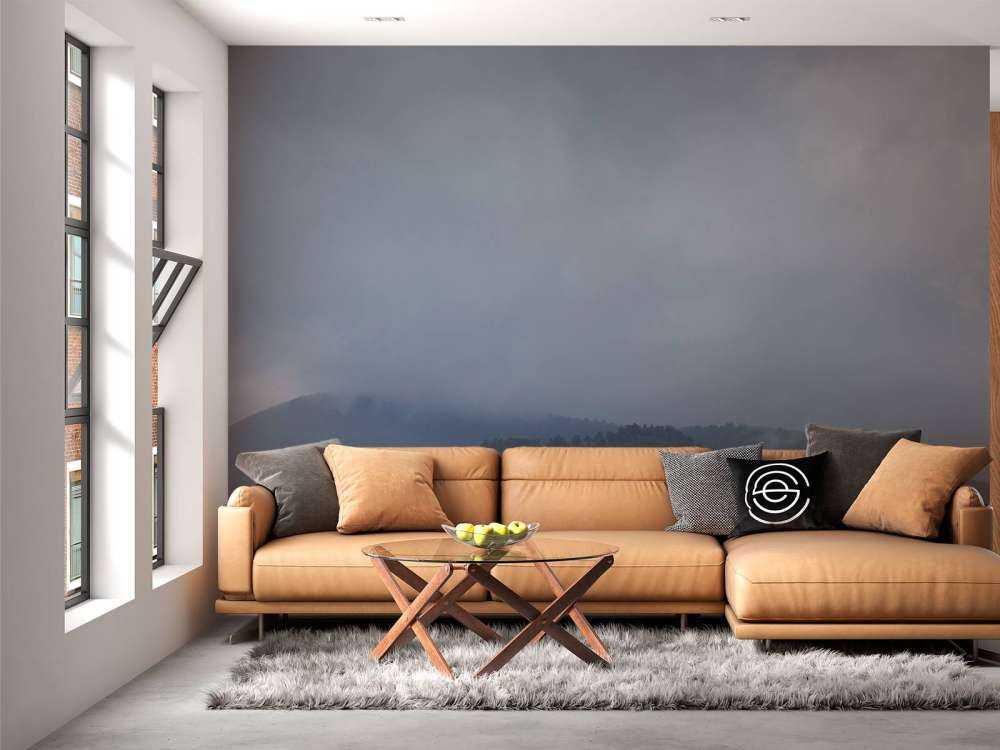 Nuages au-dessus des arbres dans les montagnes