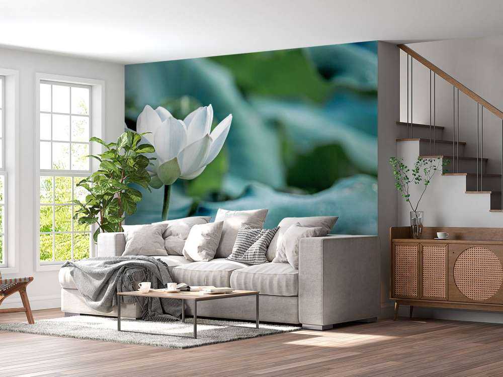 Fleur de lotus blanc