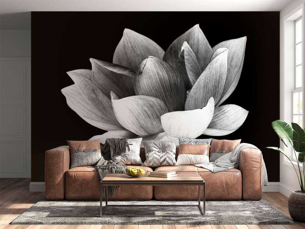 Lotus menotté