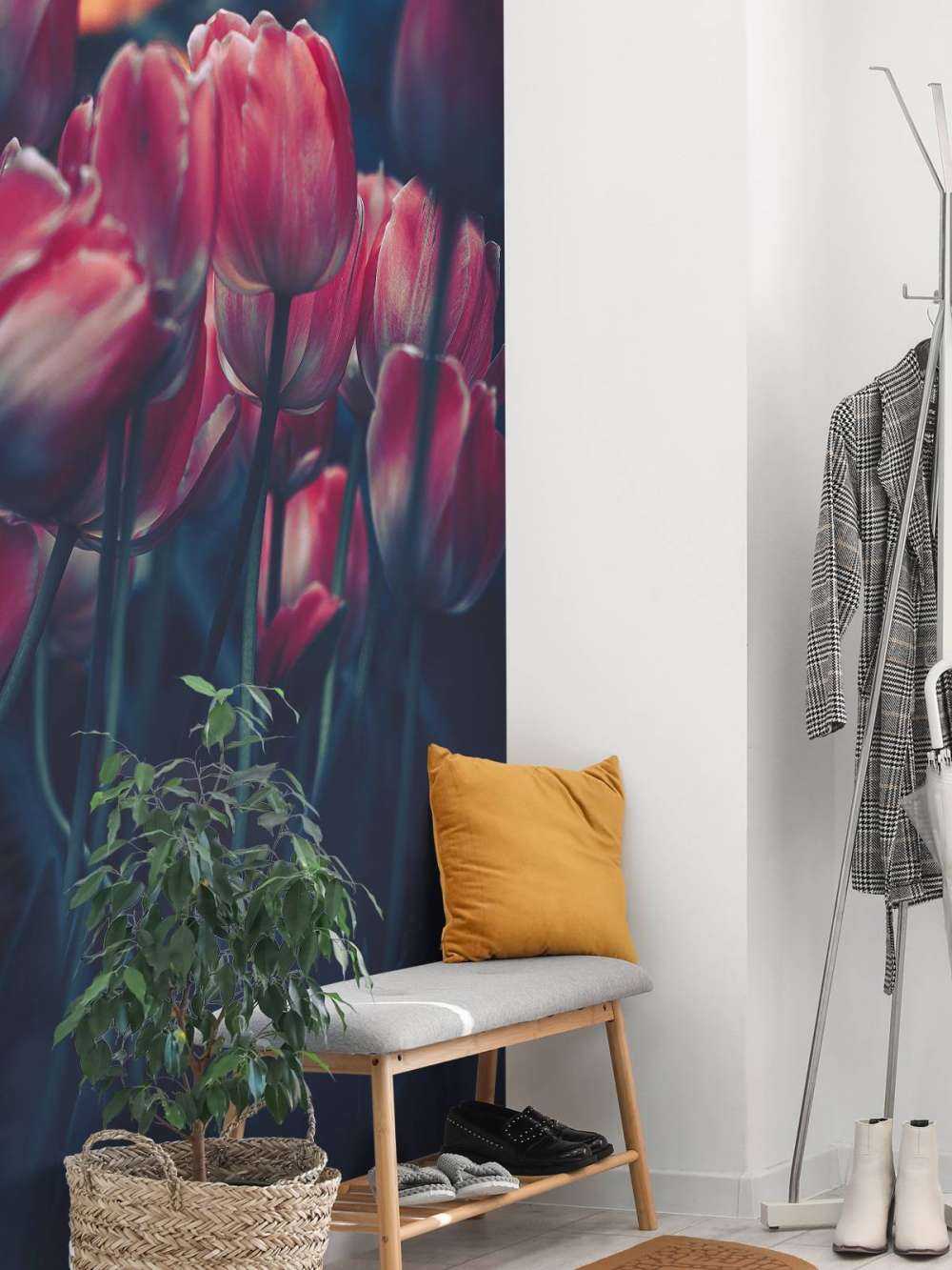 Les tulipes anciennes