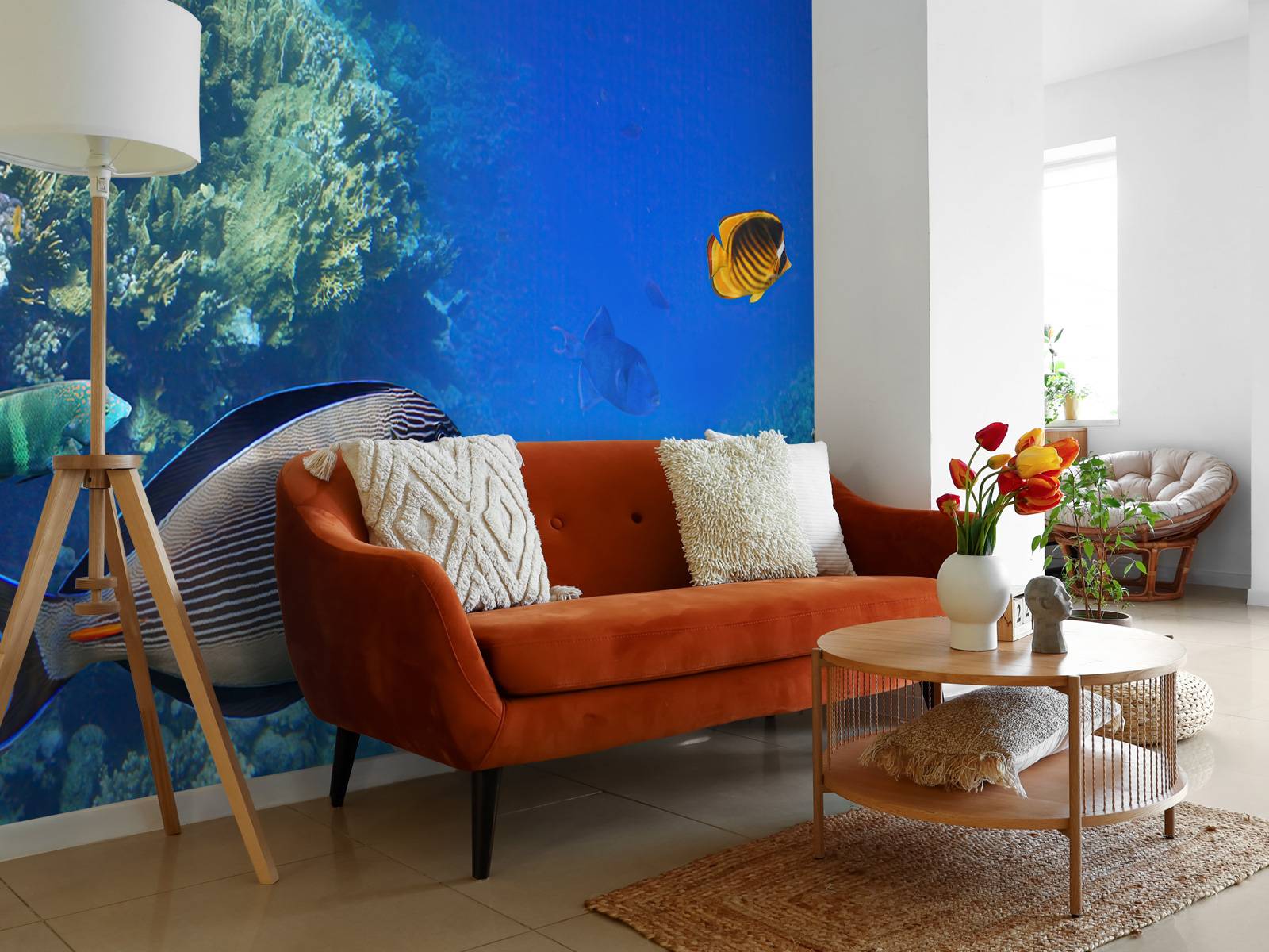 Récif de corail