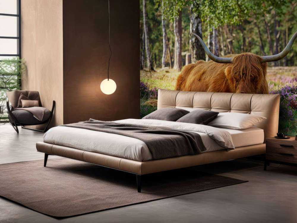 Le repos du Highland écossais